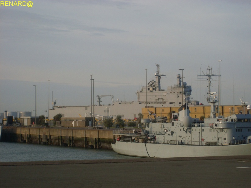 Zeebrugge naval base : news - Page 13 Sl370919