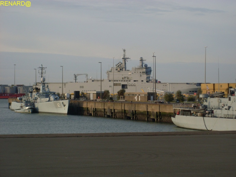 Zeebrugge naval base : news - Page 13 Sl370920