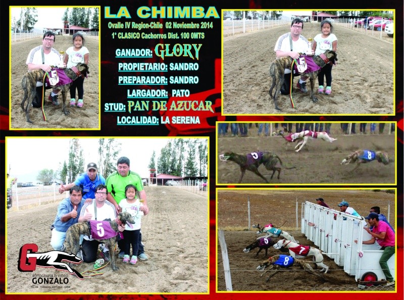 02 DE NOVIEMBRE 2014, GRANDES CLASICOS CANODROMO LA CHIMBA ALTO. - Página 2 1-clas10