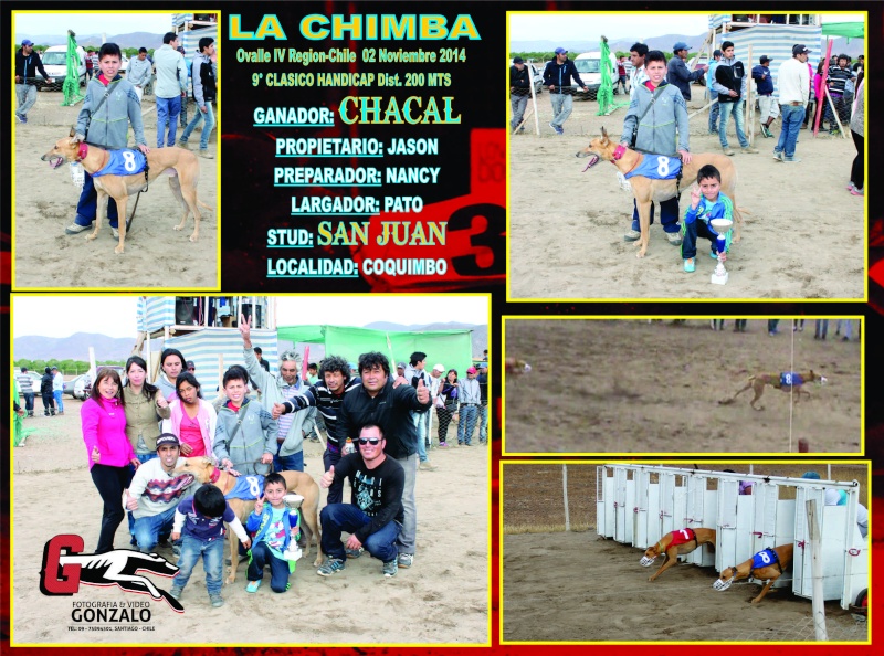 02 DE NOVIEMBRE 2014, GRANDES CLASICOS CANODROMO LA CHIMBA ALTO. - Página 2 10-cla10