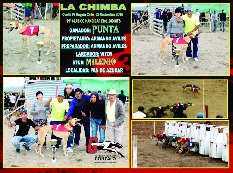 02 DE NOVIEMBRE 2014, GRANDES CLASICOS CANODROMO LA CHIMBA ALTO. - Página 2 12-cla10