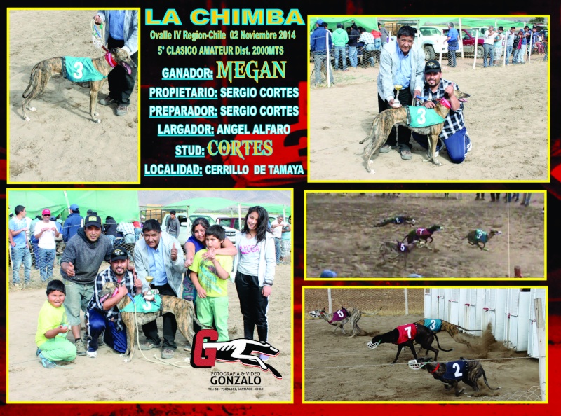02 DE NOVIEMBRE 2014, GRANDES CLASICOS CANODROMO LA CHIMBA ALTO. - Página 2 5-clas10
