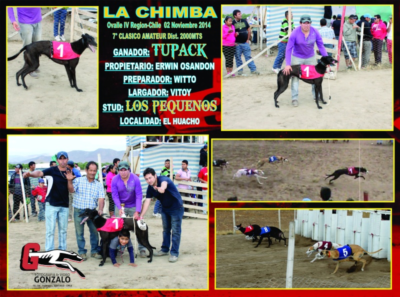 02 DE NOVIEMBRE 2014, GRANDES CLASICOS CANODROMO LA CHIMBA ALTO. - Página 2 7-clas10