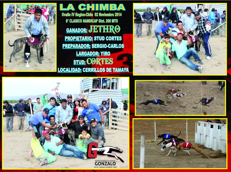 02 DE NOVIEMBRE 2014, GRANDES CLASICOS CANODROMO LA CHIMBA ALTO. - Página 2 9-clas10