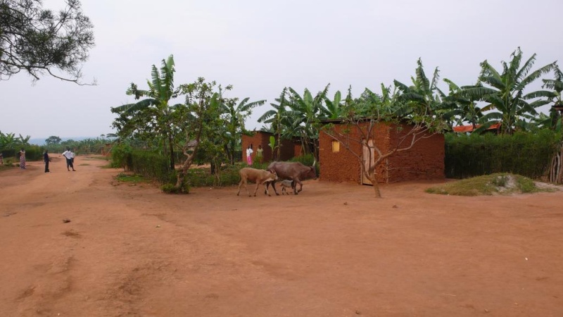 AML 90 RWANDA 1994 P-006010