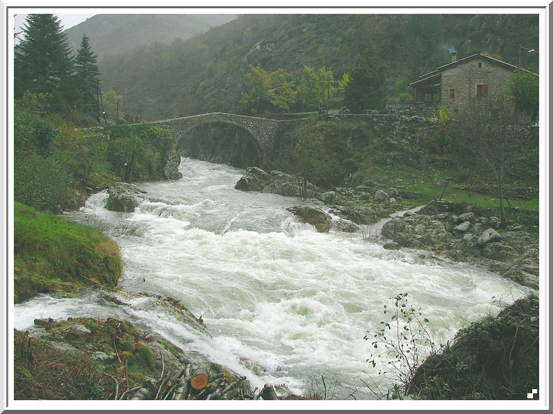 Rivière en crue et couleurs d'automne 2008_130