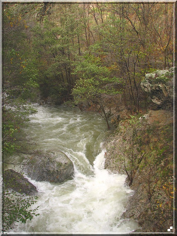 Rivière en crue et couleurs d'automne 2008_132