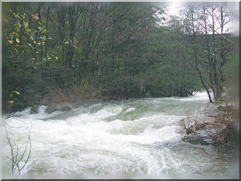 Rivière en crue et couleurs d'automne 2008_134