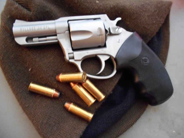 THE CHARTER ARMS BULLDOG: THE BIG-BORE SNUBBY 44_bul10