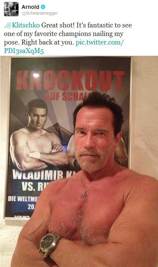 Arnold Schwarzenegger 2013 Schwar11