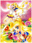 (le net) image Bunny/ Sailor Moon / Princesse Srnity Sailor17