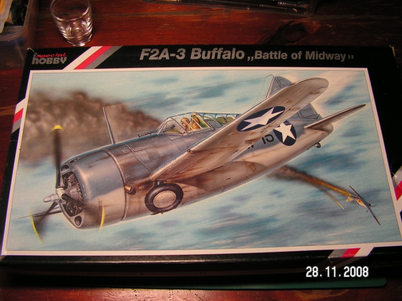 Brewster F2A3 Buffalo [SPECIAL HOBBY] 1/48  Pict3311