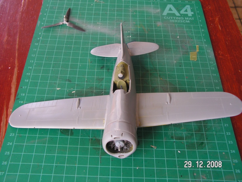 Brewster F2A3 Buffalo [SPECIAL HOBBY] 1/48  Pict3433