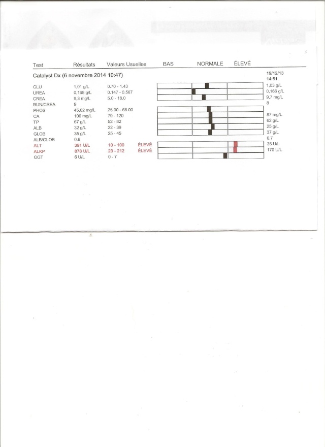 Maladie de cushing.....besoin de temoignages Enzyme10