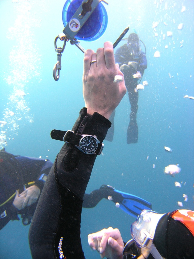 seiko divers still alive! Pb150911