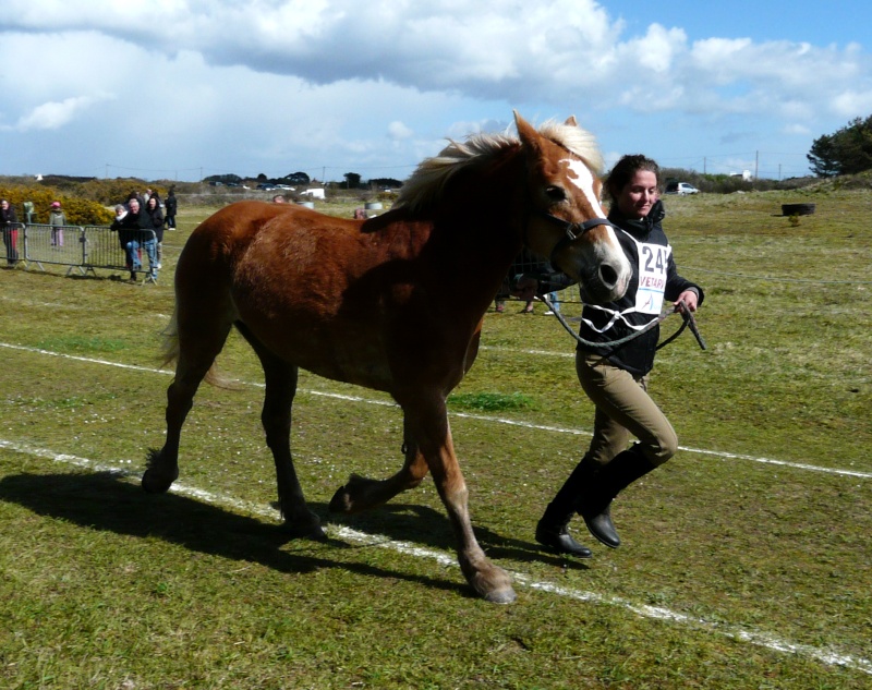 Endurance Esquibien 2008 P1010310