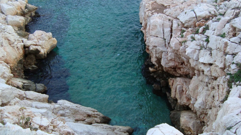 visitons les calanques Dsc00113