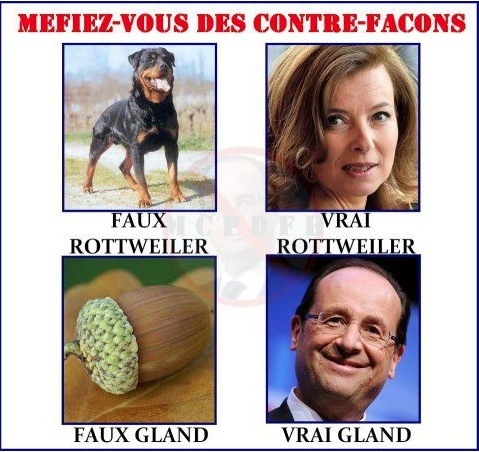 Humour en image ... - Page 11 Captu231