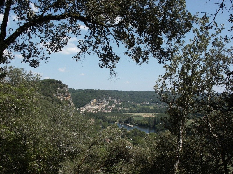 découverte : parc du château de Marqueyssac ( Dordogne ) Chatea13