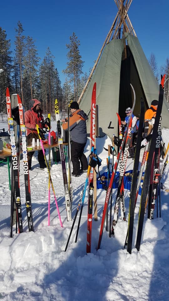 Ski de fond en Finlande 53556610