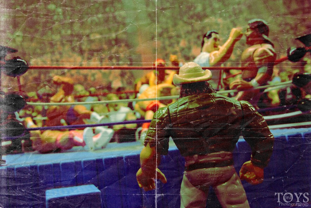 Figurines de catch en action - Page 3 213_ja10