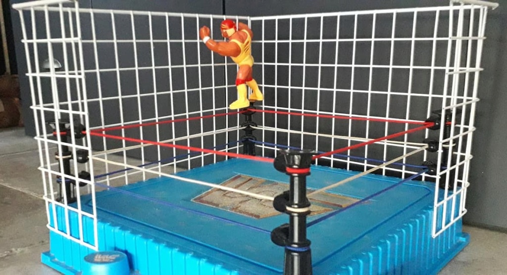 Tentative de création de cage Hasbro Cage_r14