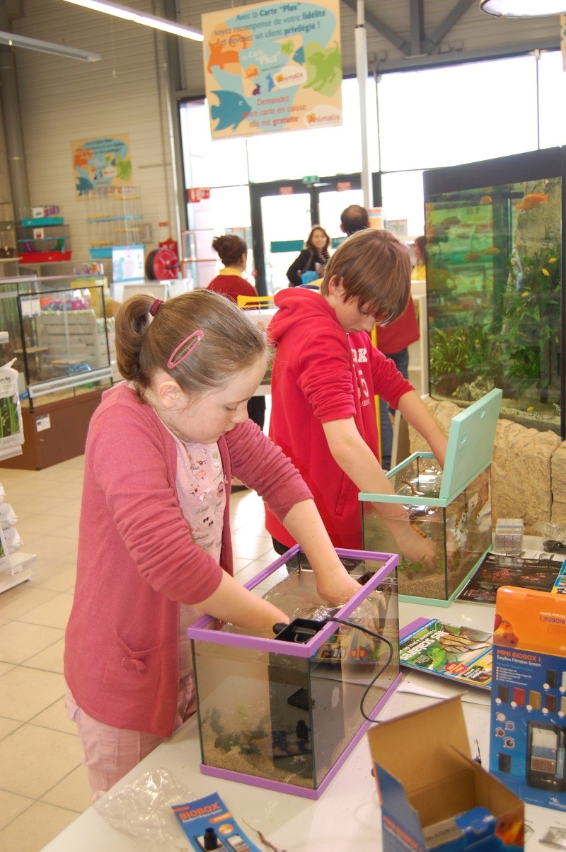 Animation à Animalis Brest autour de jeunes "pousses" aquariophiles Dsc_0812