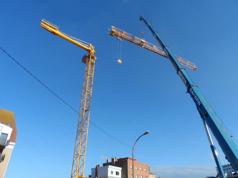 Montage de grues à tour  - Page 3 Sam_1510