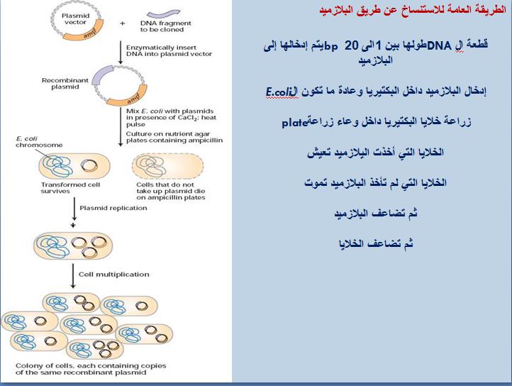 المجلة الدورية للتحاليل الطبية-نوفمبر 2008 B410