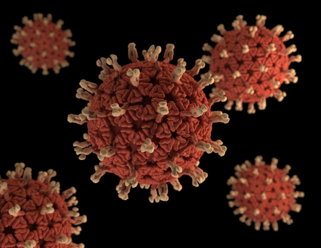 الفيروس العجلي: أعراض الإصابة والعلاج والوقاية 13150810