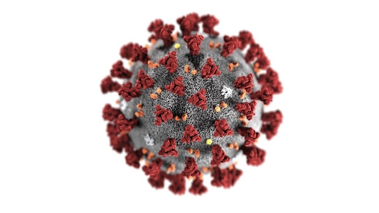روس تريب نادزور: أول صورة في العالم للسلالة "البريطانية" من فيروس كورونا 600e7410