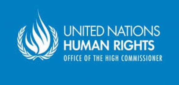 ما هي مفوضية الأمم المتحدة السامية لحقوق الإنسان A_o_aa12