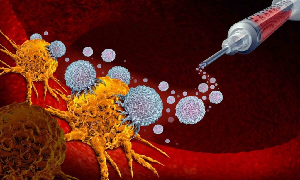 العلاج المناعي للسرطان: أنواعه وآلية عمله Predic10