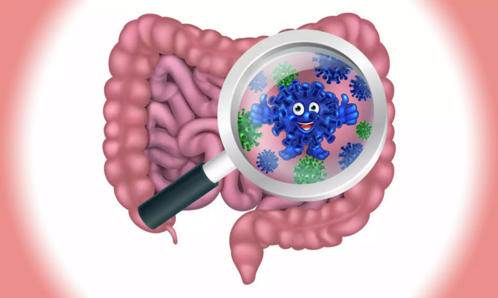 بكتيريا محددة في الأمعاء مرتبطة بمتلازمة القولون العصبي Screen11