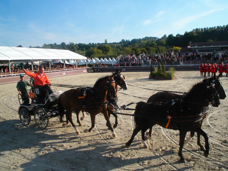 En octobre 2008, Pierre Clément et moi étions présent au championnats du monde d'attelage à 4 chevaux en Hollande Dcfc0210