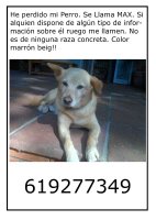 Max perdido en Barcelona tamaño mediano-pequeño color marron beig Max310