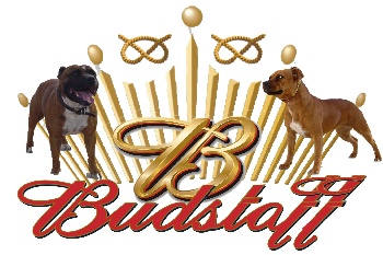 Budstaff family Budsta10