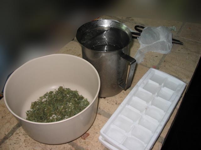 Ice Hash - Como fazer Haxixe [polen] Foto210