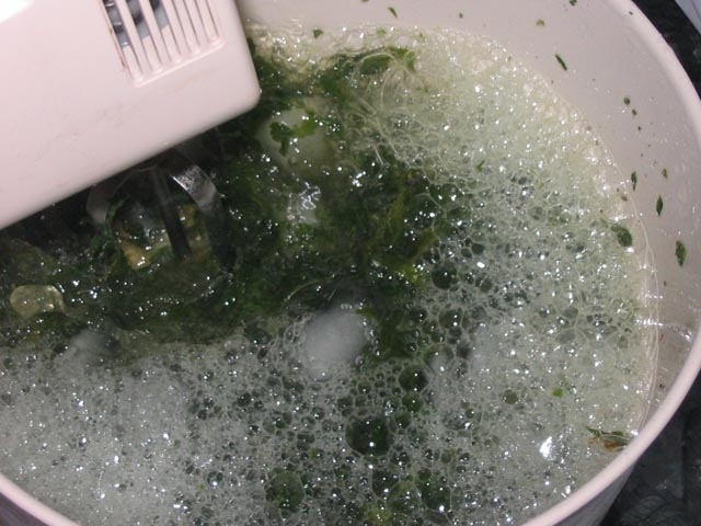 Ice Hash - Como fazer Haxixe [polen] Foto510