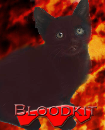 Create a Cat Bloodk10