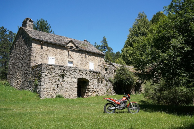 Aigoual, Causse et Cévennes Dsc01610