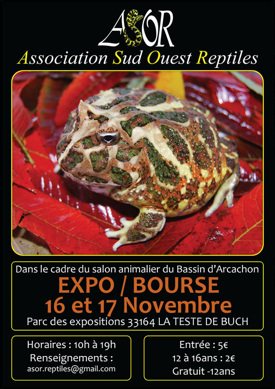 Salon animalier de la Test (avec Expo/Bourse aux reptiles) Ojh310