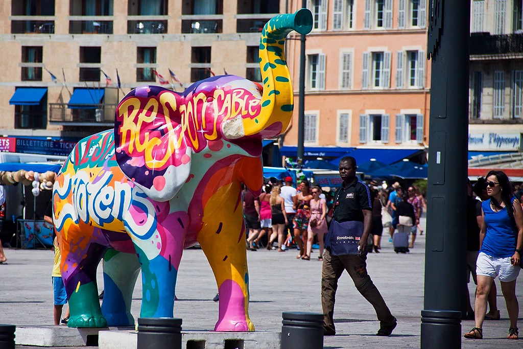 Les éléphants de Marseille _mg_3614