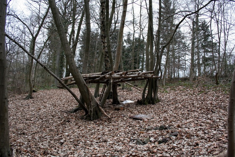Terrain boisé de 17 hectares - Montigny-Le-Tilleul Img_7722
