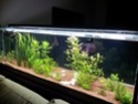 Bac 300litres 20130310