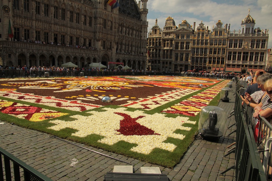 Le tapis de fleurs à la Grand place de Bruxelles Img_0010