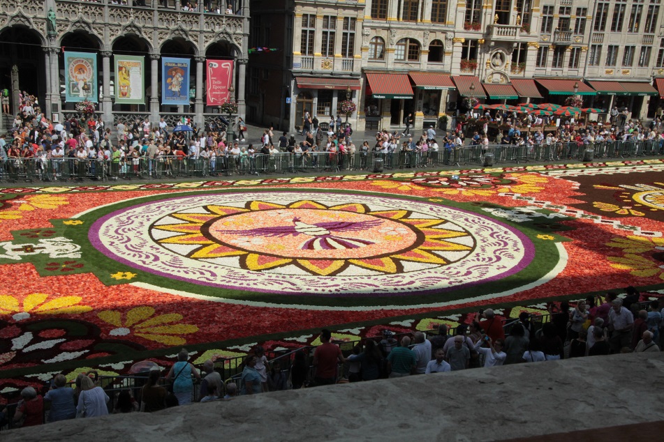 Le tapis de fleurs à la Grand place de Bruxelles Img_0013