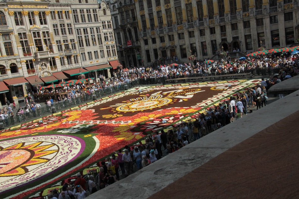 Le tapis de fleurs à la Grand place de Bruxelles Img_0014