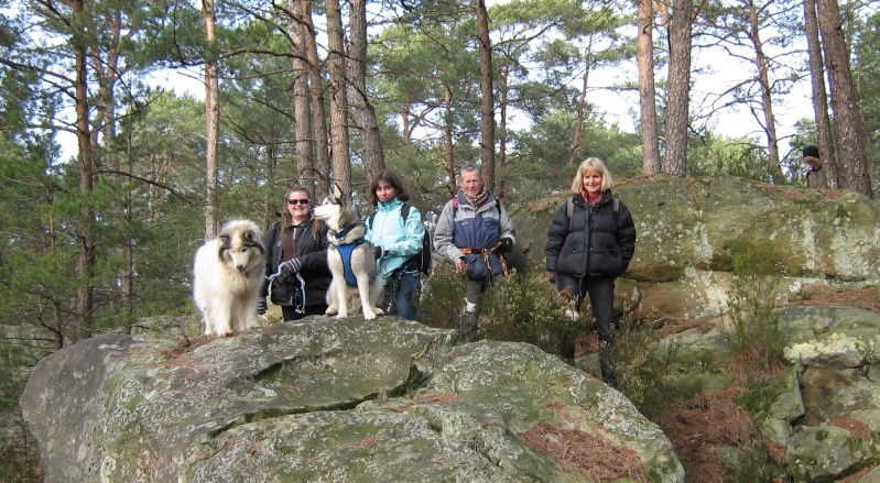 Randonnée et pic nic en foret de fontainebleau le 30 Janvier 2011 - Page 5 Img_0726