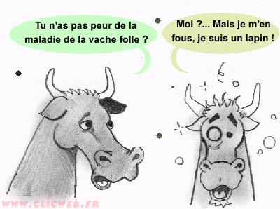 concours photo .élection de la vache du mois (cheval autorisé) Medium10